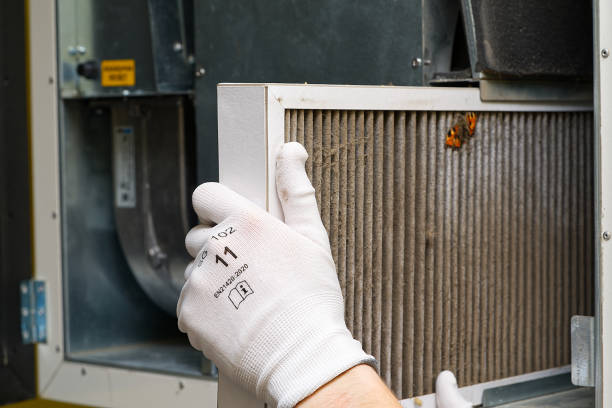 Best Air Duct Cleaning Near Me  in Ely, MN