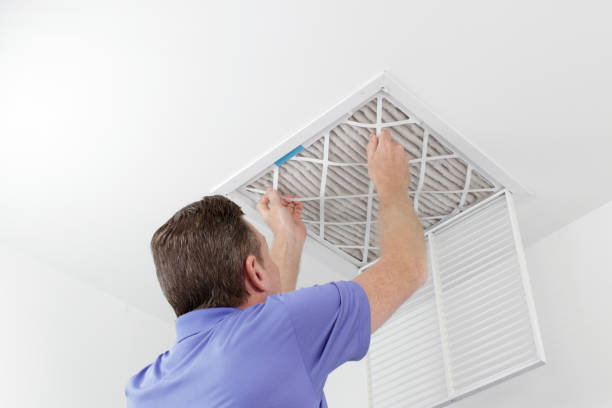 Best Dryer Vent Cleaning Services  in Ely, MN